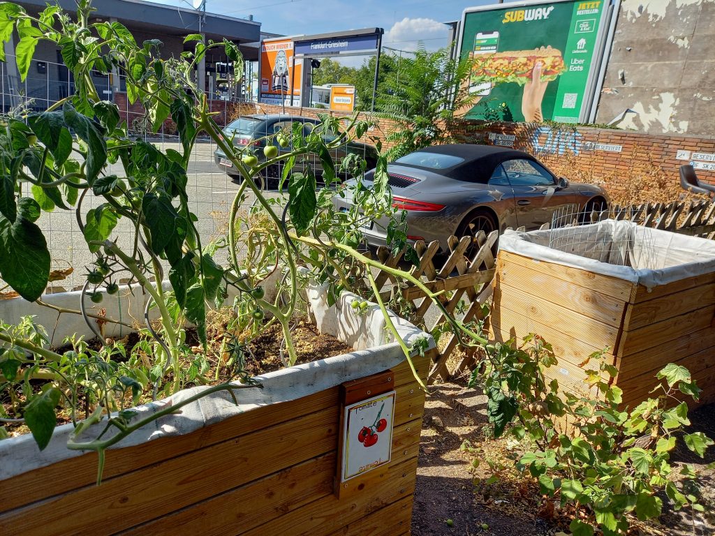 Urban Gardening an der S-Bahnstation