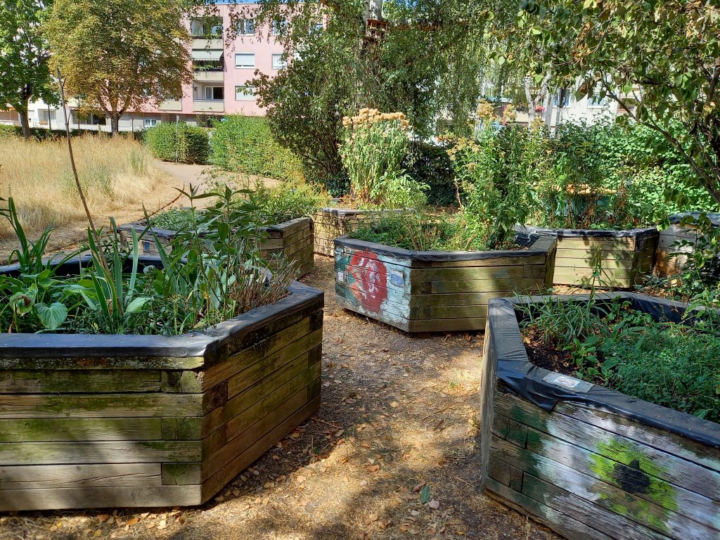 Urban Gardening im Riederwald