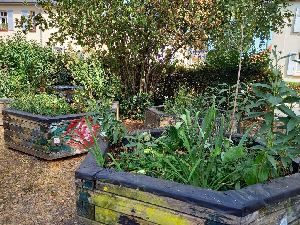 Urban Gardening im Riederwald