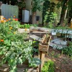 Tortuga Eschersheim, Urban Gardening/ Foto: Karola Neder