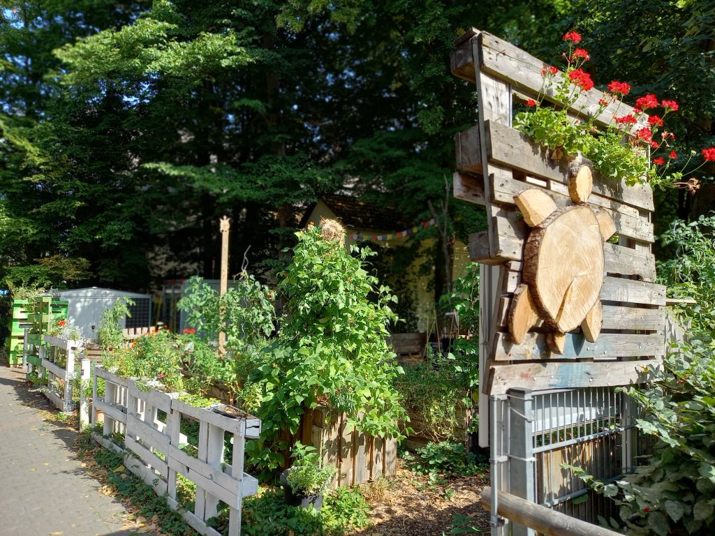 Gemeinschaftsgarten Tortuga in Eschersheim