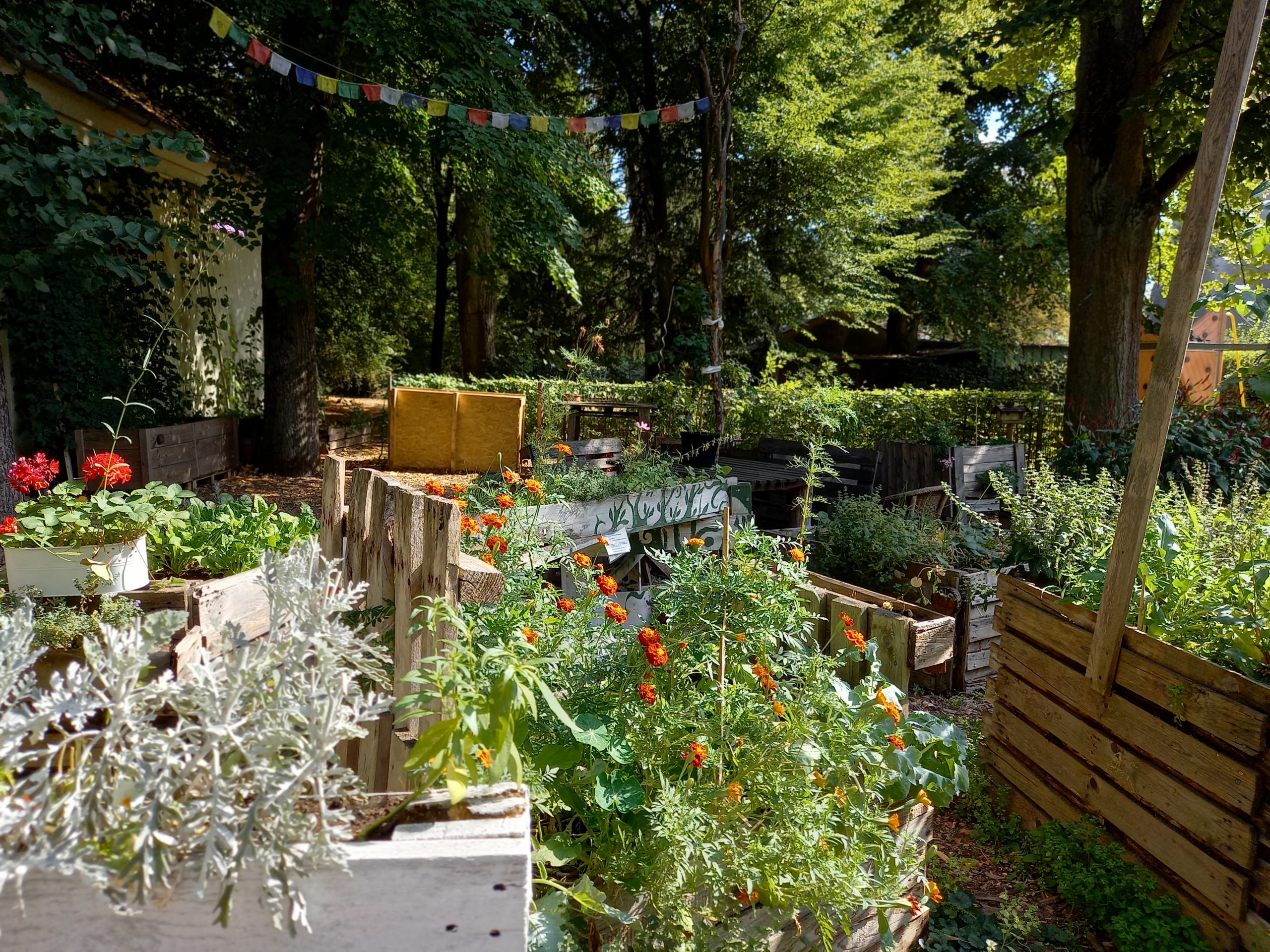 Urban Gardening in Eschersheim