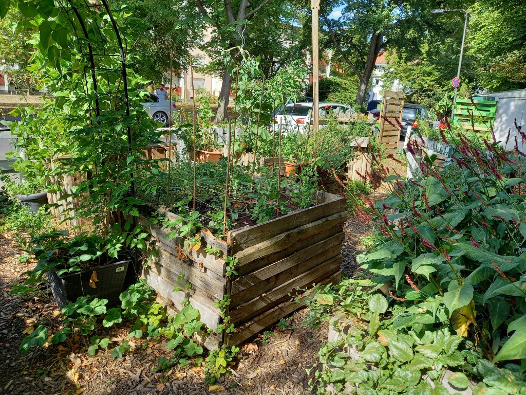 Gemeinschaftsgarten Tortuga in Eschersheim