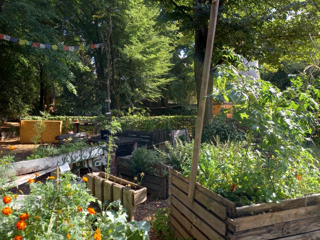 Hochbeete im Gemeinschaftsgarten Tortuga, Urban Gardening in Eschersheim