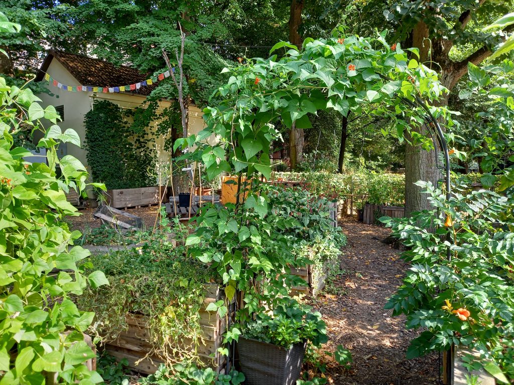 Urban Gardening in Eschersheim/ Foto: Karola Neder