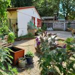 Gemeinschaftsgarten im Hof vor der Sozialen Manufaktur des Deutschen Roten Kreuz (DRK) in Bockenheim/ Foto: Karola Neder