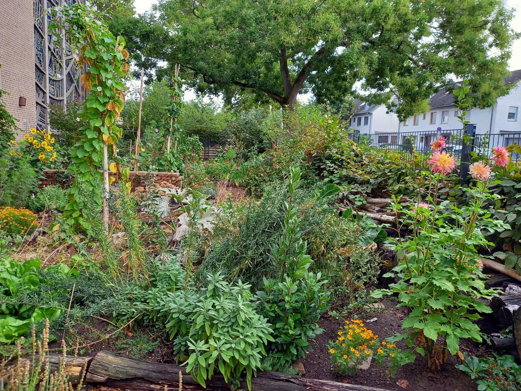 Urban Gardening im Kirchgarten der Wartburggemeinde