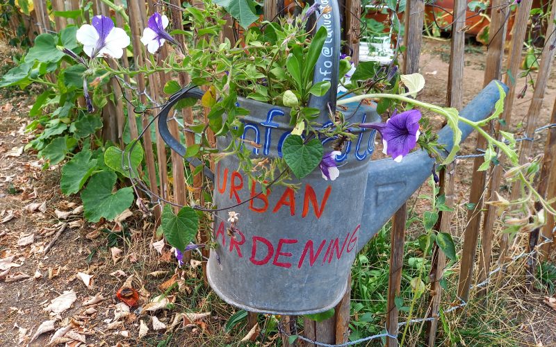 Urban Gardening