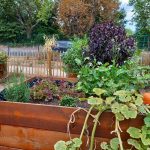Gemeinschaftsgarten "La Huerta" in der Platensiedlung/ Foto: Karola Neder