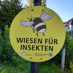 Wiesen für Insekten, Foto: Karola Neder