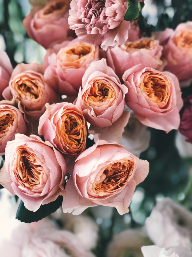 #Rosen #Blumen