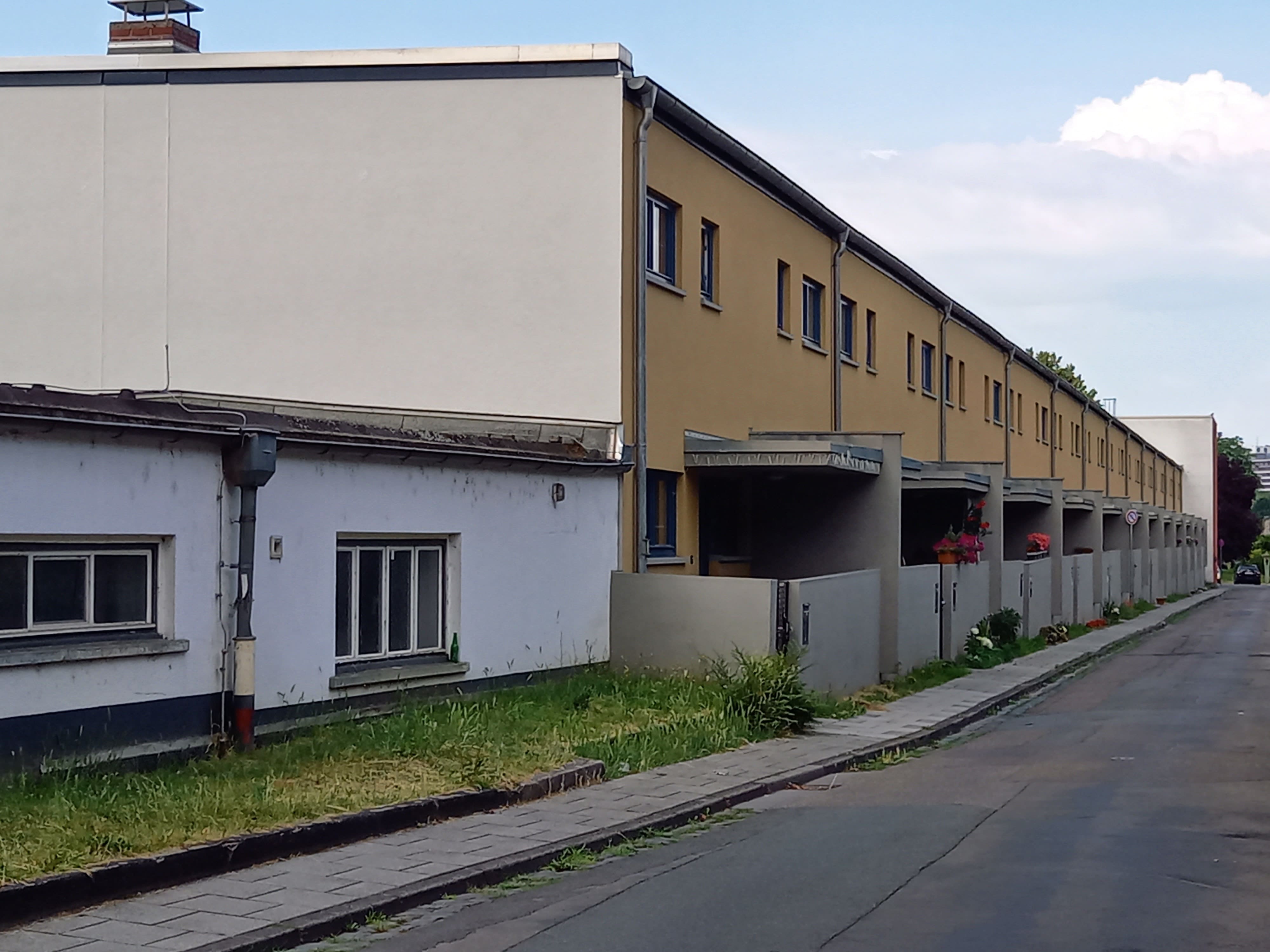 Ernst-May-Siedlung "Im Burgfeld"