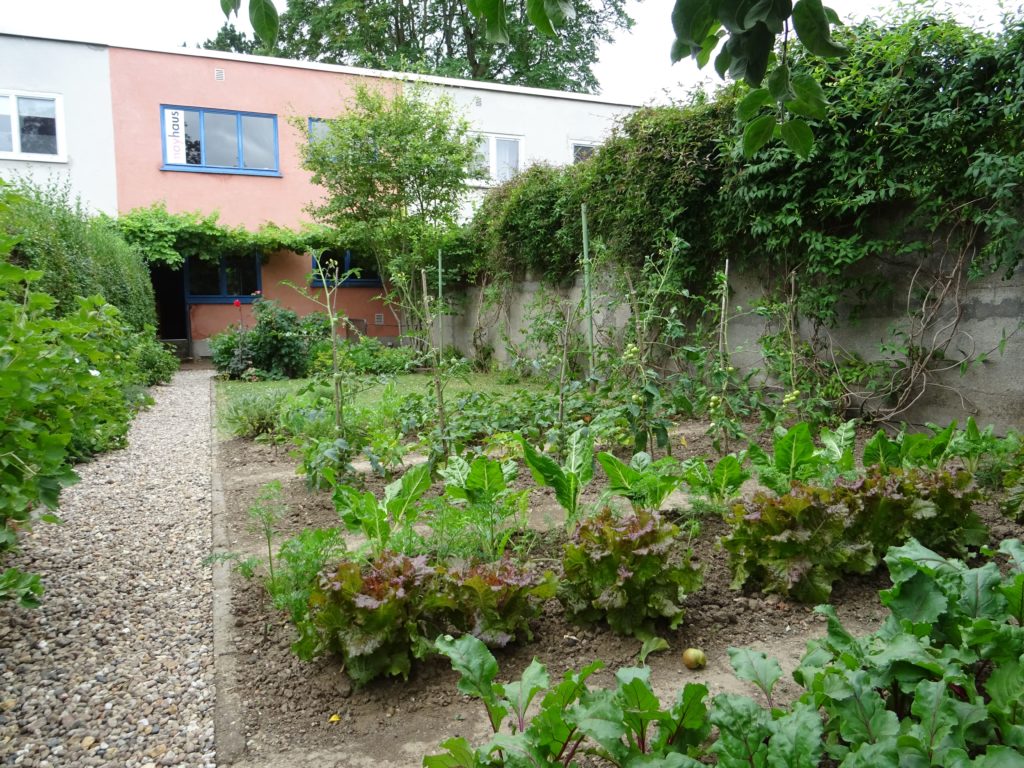 Garten des ernst-may-hauses