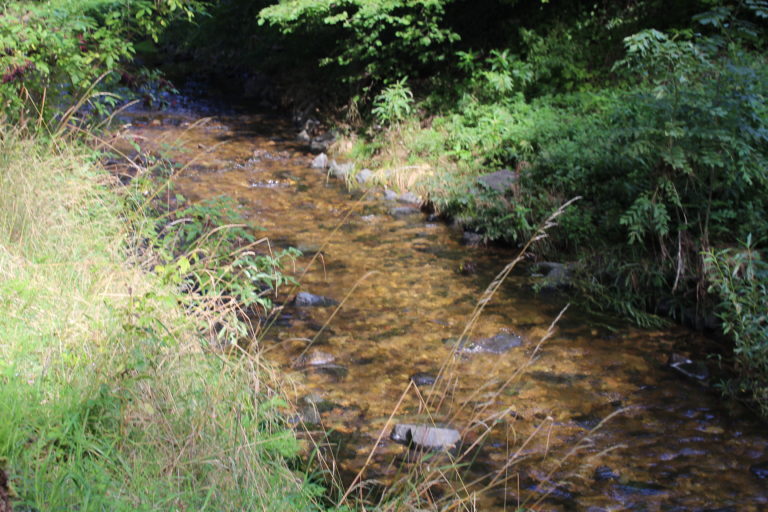 #Liederbach