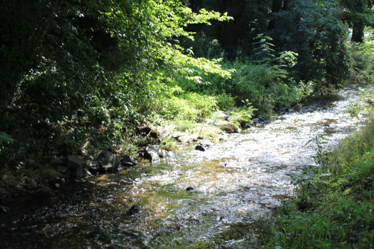 #Liederbach