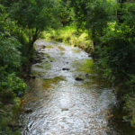 #Liederbach