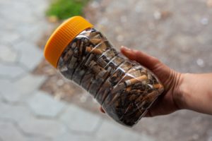 Gesammelte Zigarettenkippen