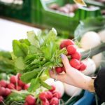 Frisches Gemüse vom Wochenmarkt