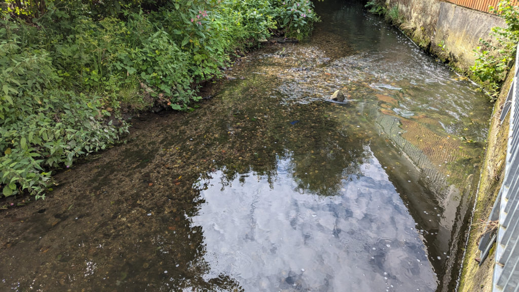 #urselbach #niederursel #Frankfurt #Wasser #bach