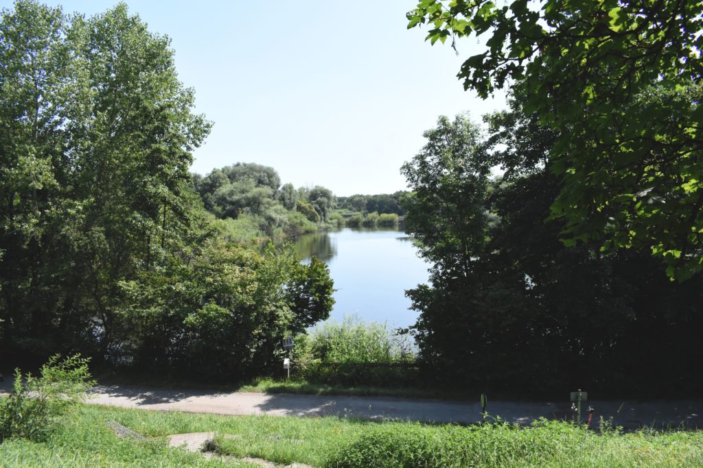 #Enkheimer-Ried #Naturschutzgebiet #Weier