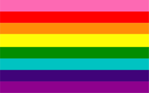 Regenbogenflagge mit 8 Farben: Hot Pink, Rot, Orange, Gelb, Grün, Türkis, Ultramarin und Lila