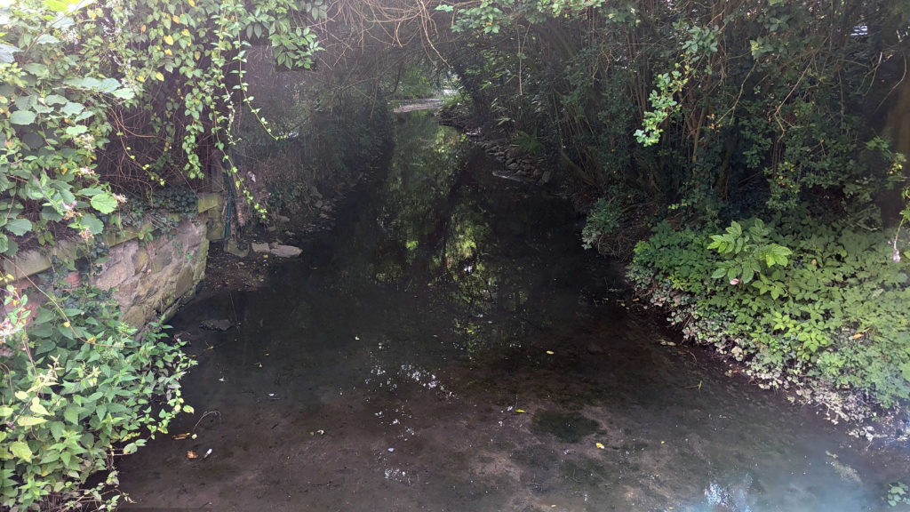#urselbach #niederursel #Frankfurt #Wasser #bach