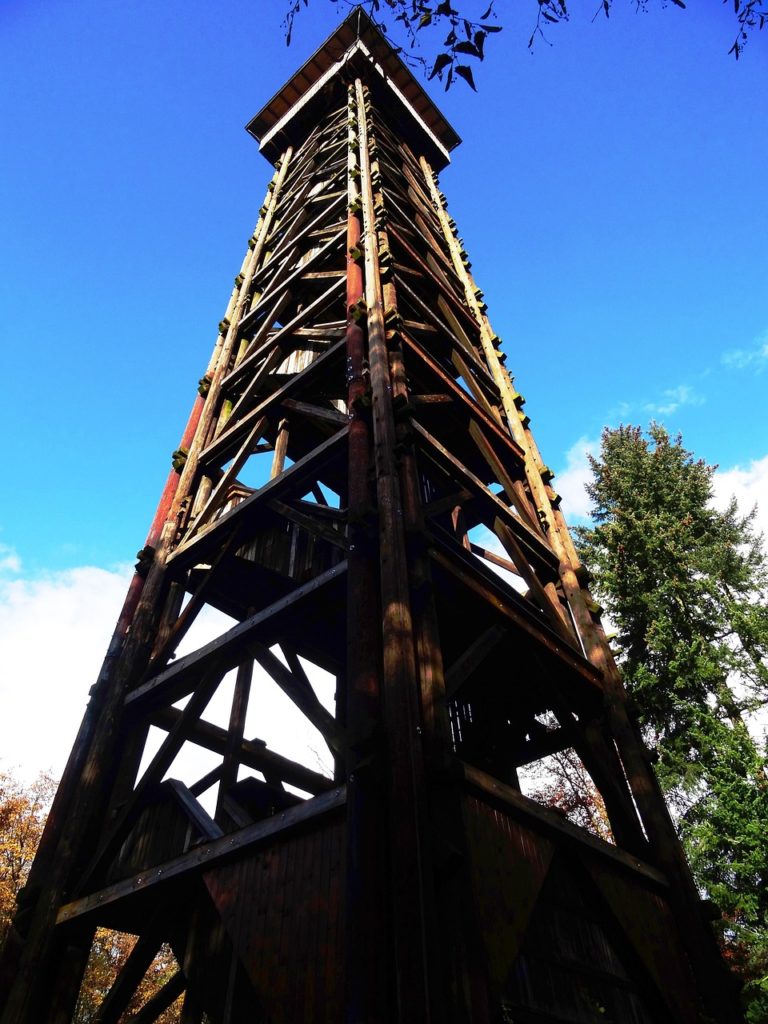 Führung: Die Geschichte von Frankfurts Liebsten Holzturm