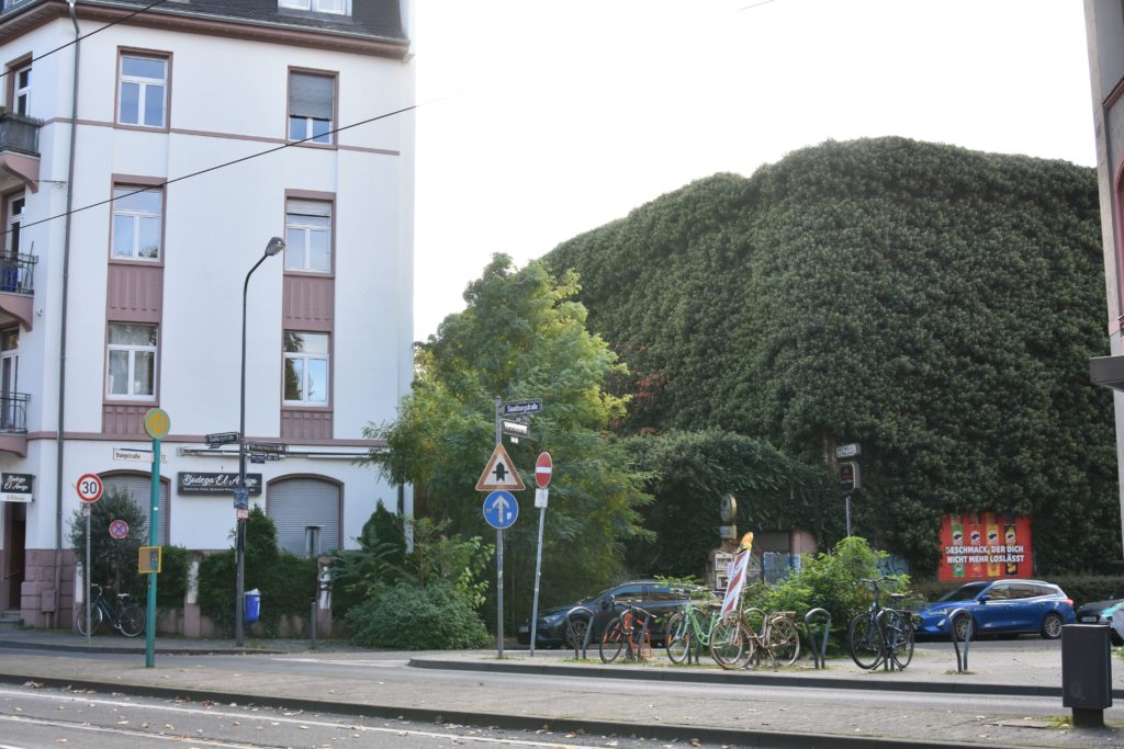 Strassenbahn Linie12 Stadtrundfahrt Burgstrasse