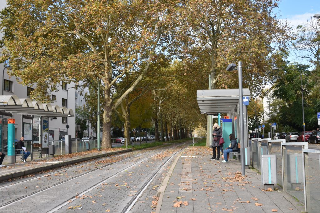 Strassenbahn Linie12 Stadtrundfahrt Eisporthalle