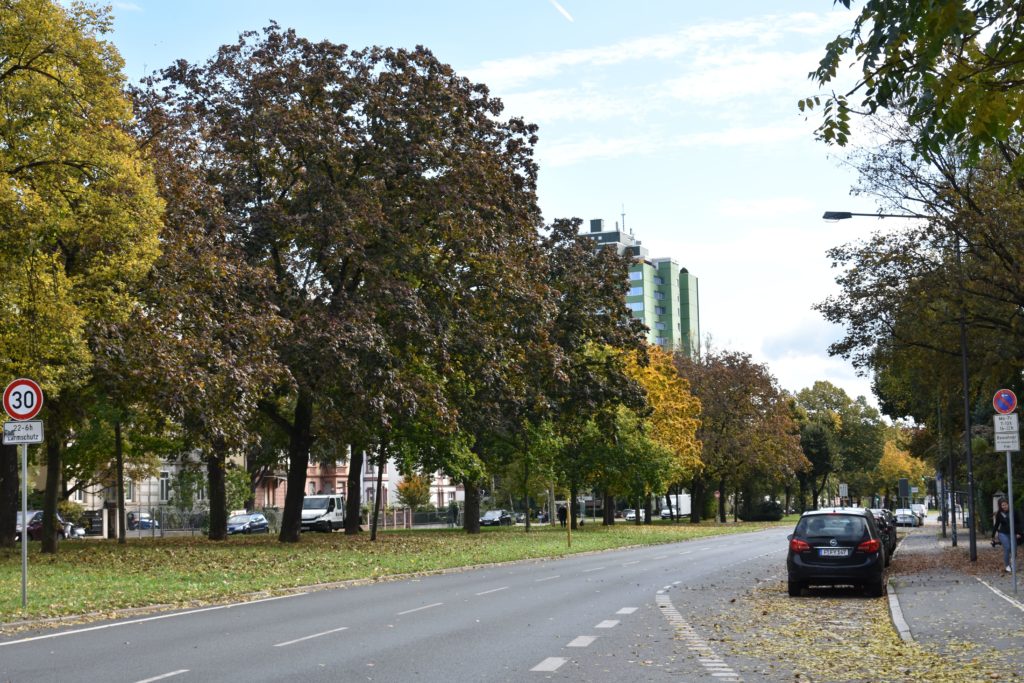 Strassenbahn Linie12 Stadtrundfahrt Rothschildallee