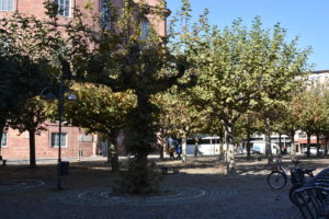 #Paulsplatz #Paulskirche #Altstadt
