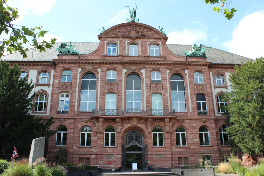 #Senkenberg Museum #Westend-Süd #Campus Bockenheim