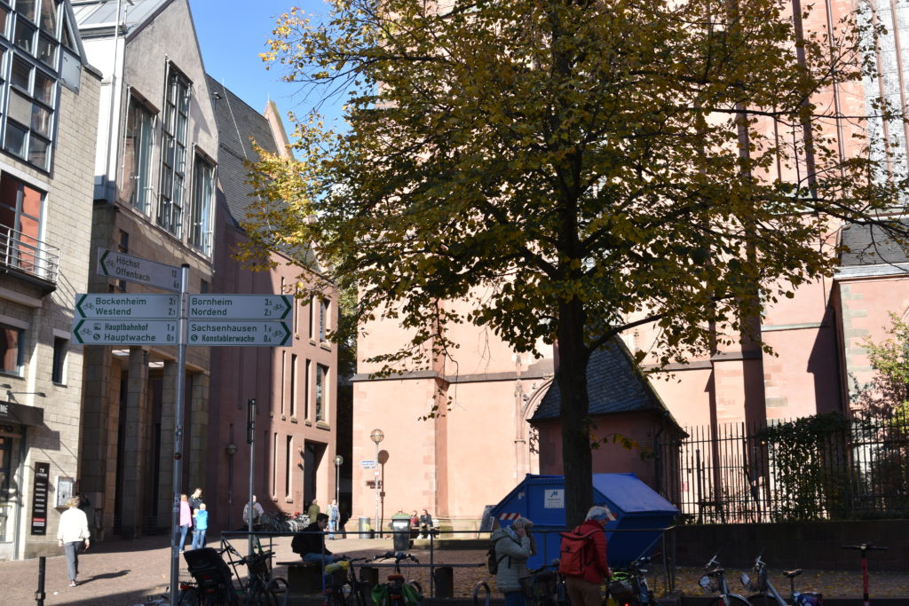 #Weckmarkt #Dom #Altstadt