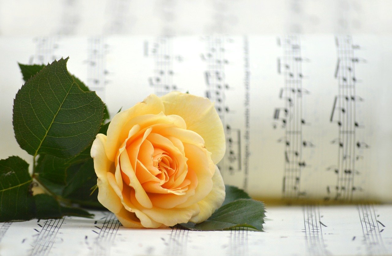 # Rose # Notenblatt