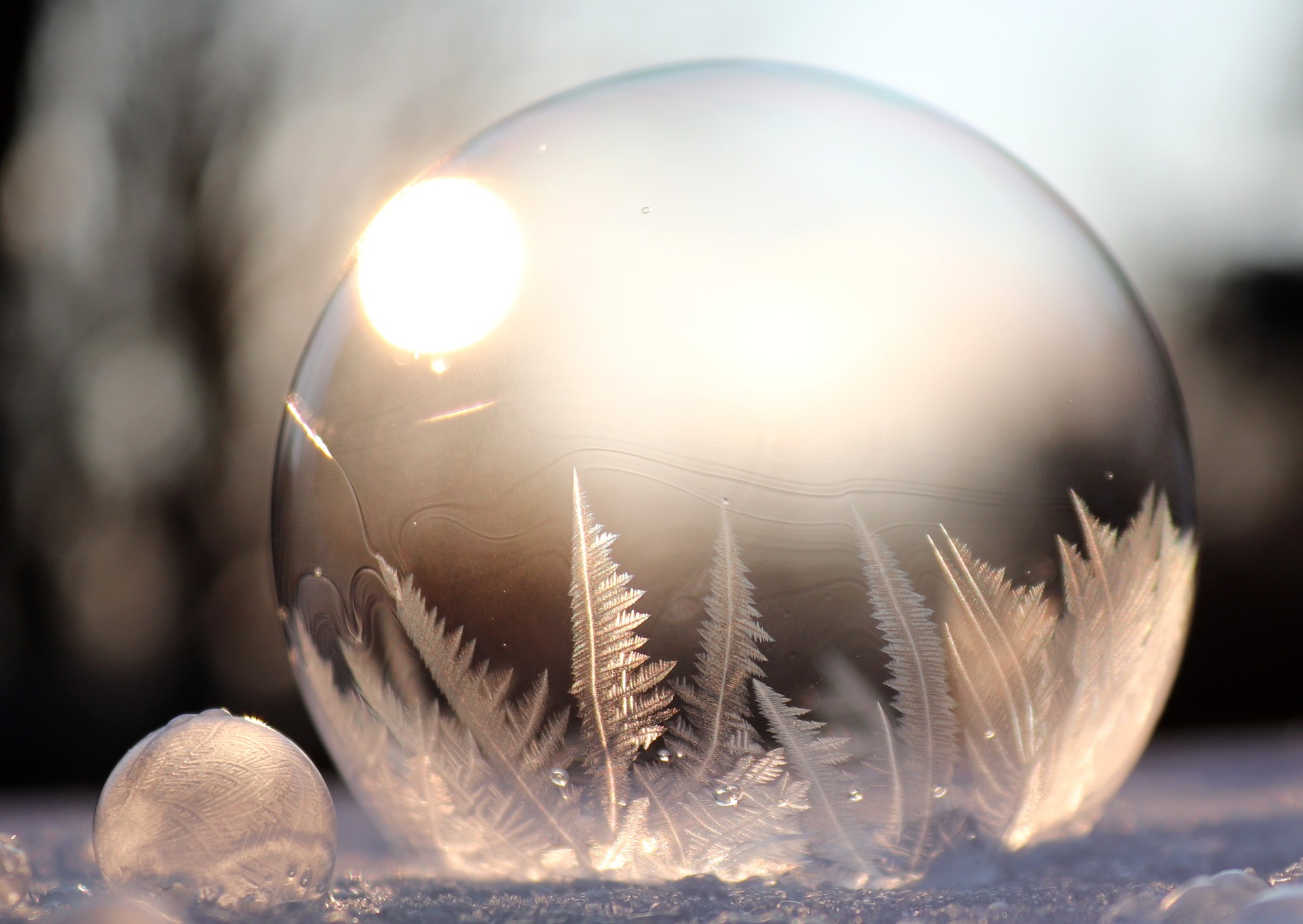 #Winter #Licht #Schnee