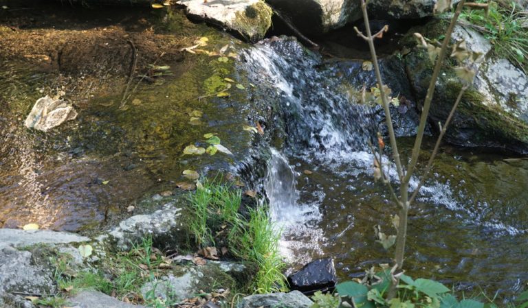 #Liederbach