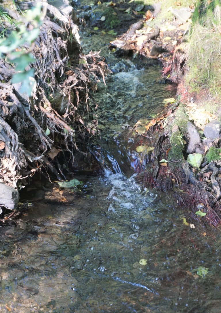 #Liederbach