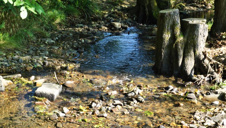 #Liederbach