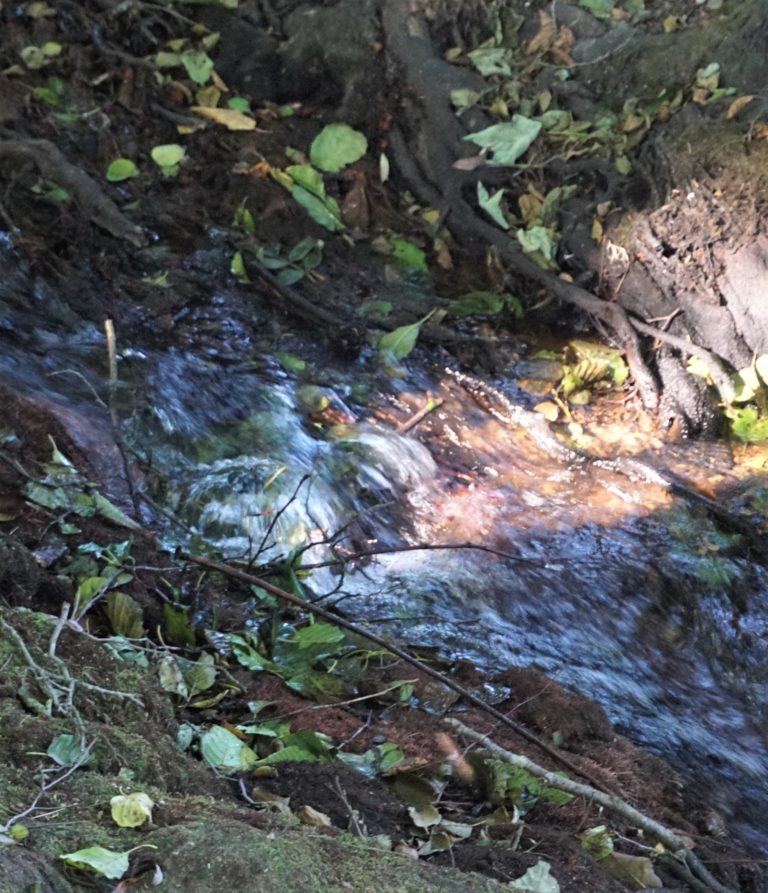 #Liederbach