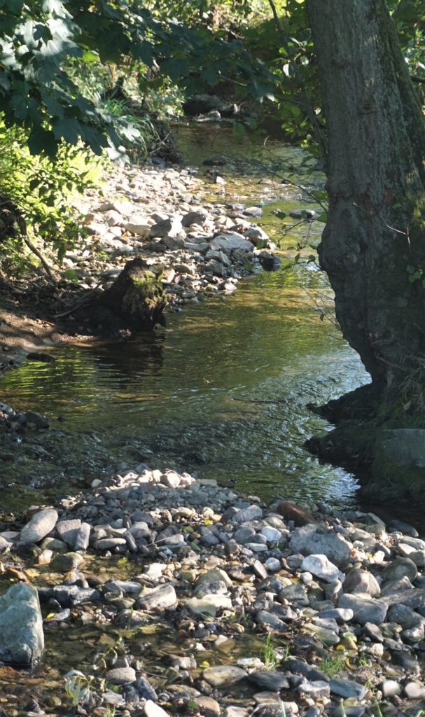 #Liederbach