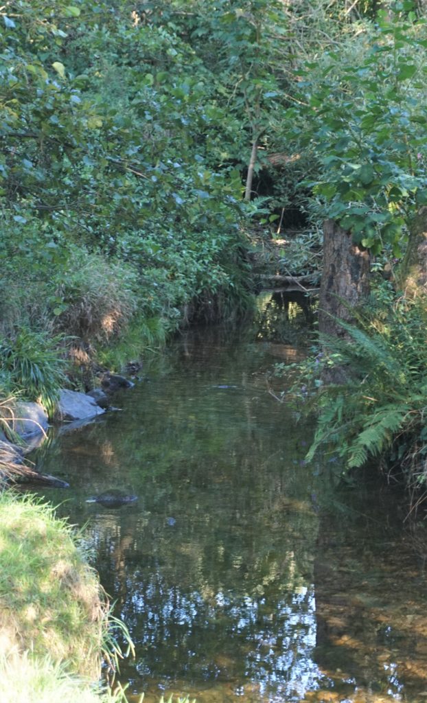 #Liederbach