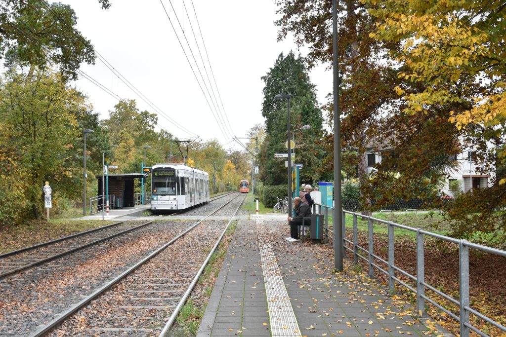 Strassenbahn Linie12 Stadtrundfahrt Harthweg
