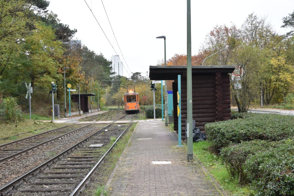 Strassenbahn Linie12 Stadtrundfahrt Kiesschneise
