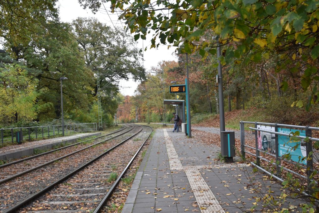 Strassenbahn Linie12 Stadtrundfahrt Waldau