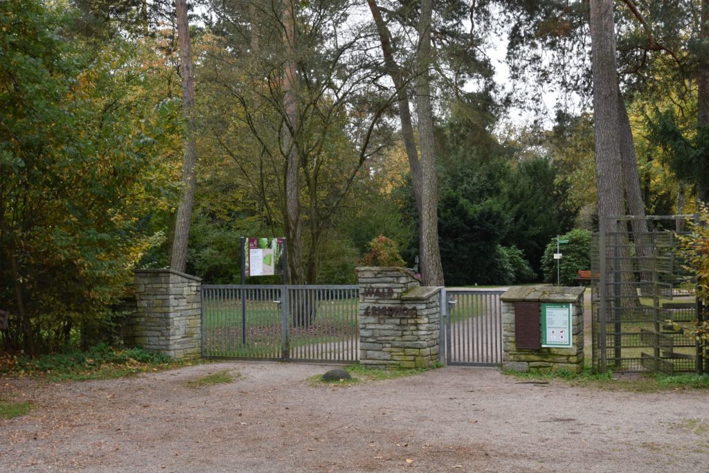 Strassenbahn Linie12 Stadtrundfahrt Waldfriedhof-Goldstein