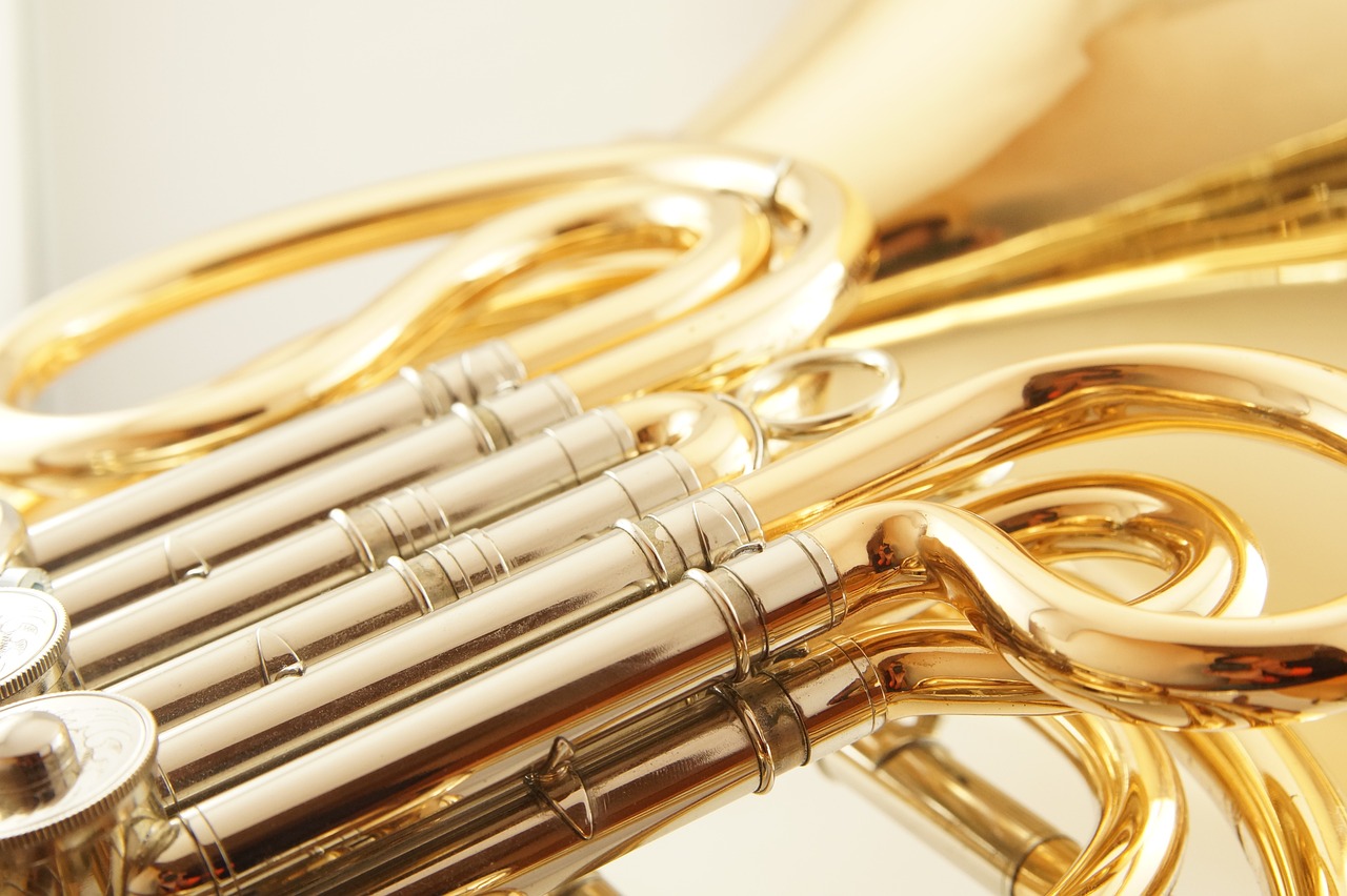 #Waldhorn#Blasinstrument