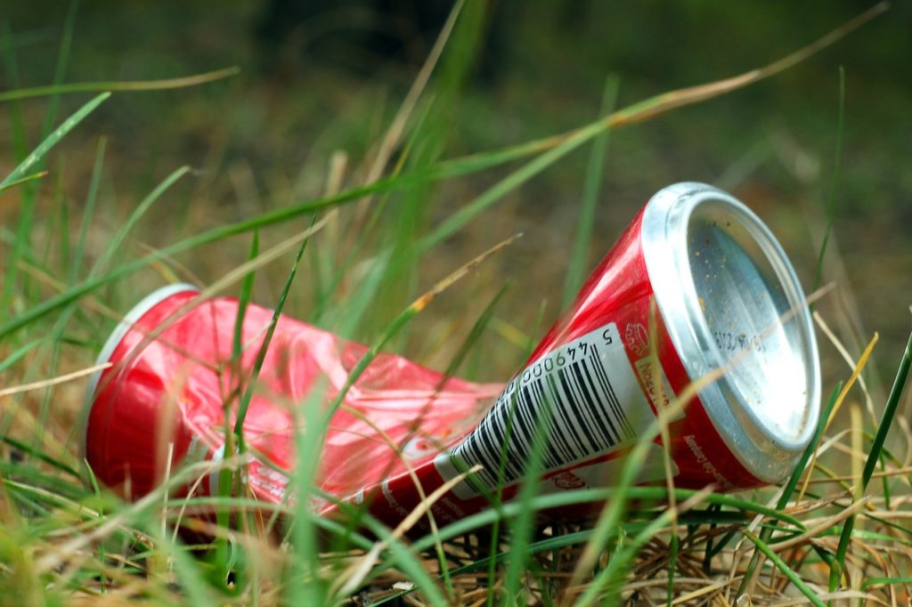 „Müllionärstag“ – Waldfrühjahrsputz im Riederwälder Forst