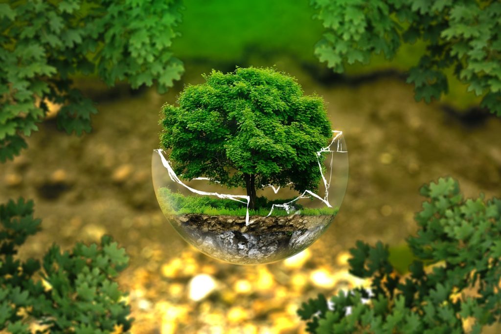 #Natur #Wald #Umweltschutz