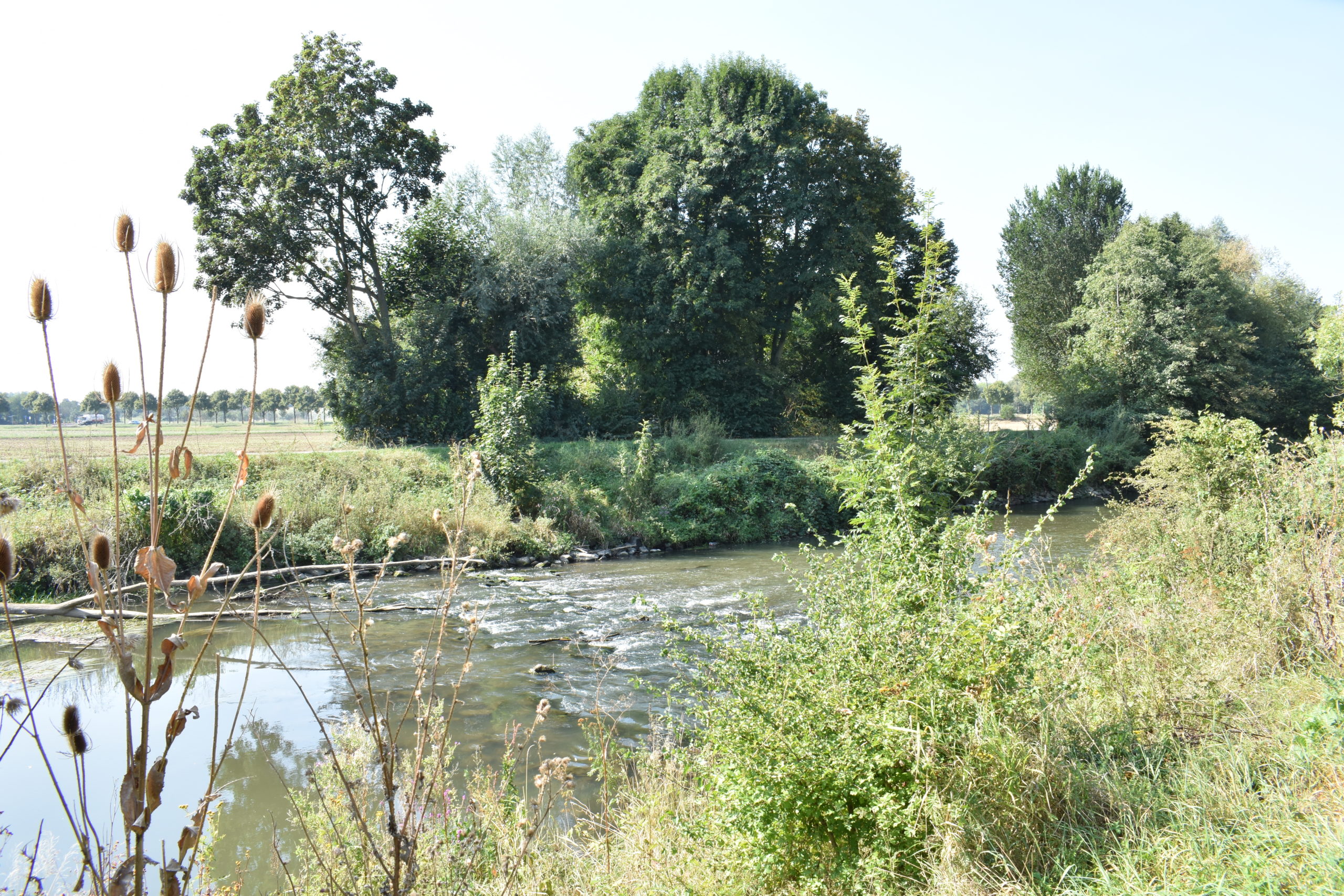 #Nordpark #Bonames