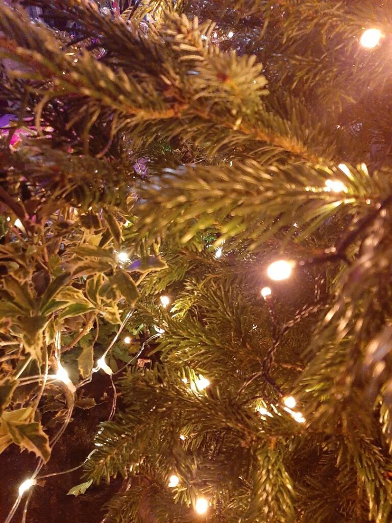 #Lichterkettte in Tannenzweige